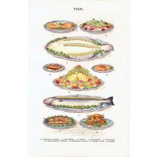 ミセスビートンの家政読本より 魚料理 1906年 イギリスアンティークプリント  0059