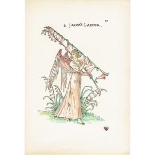 ウォルタークレインのアンティークプリント ウォルタークレインのアンティークプリント