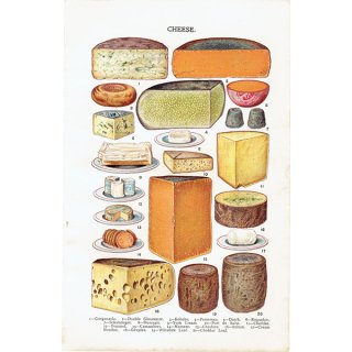 ミセスビートンの家政読本より チーズ（カマンベール、ゴルゴンゾーラ、パルメザンなど） 1906年 イギリスアンティークプリント  0068