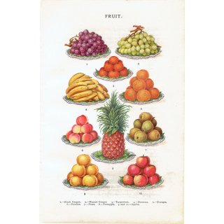 ミセスビートンの家政読本より フルーツ（ブドウ、バナナ、パイナップルなど） 1906年 イギリスアンティークプリント  0069