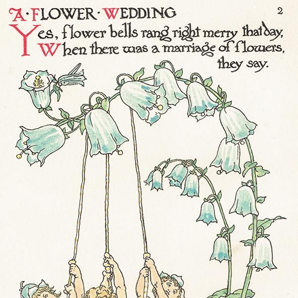 륿쥤Walter Crane A Flower Weddingʥեǥ󥰡ˡ   1905ǯ  | 1162