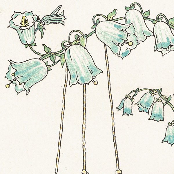 륿쥤Walter Crane A Flower Weddingʥեǥ󥰡ˡ   1905ǯ  | 1162