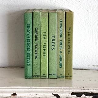 撮影小物やインテリアにおすすめの古い洋書・アンティークブック 撮影小物やインテリアにおすすめの古い洋書・アンティークブック