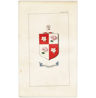 イギリス アンティーク 花と紋章 ボタニカルアート ジャスミン、ヒルガオとシクラメン  1851年 1003