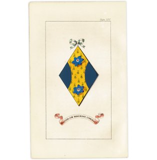 イギリス アンティーク 花と紋章 ボタニカルアート ルリジサ（Borago officinalis）  1851年 1006