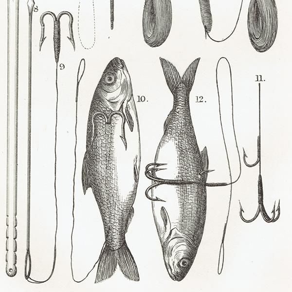 魚釣りアイテム 釣り針や餌の付け方 イギリス アンティーク