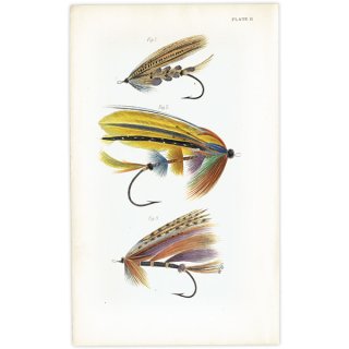 魚釣りアイテム フライフィッシング 毛針 デザイン イギリス アンティークプリント 1867年 1009