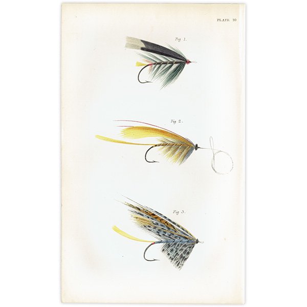 魚釣りアイテム フライフィッシング 毛針 デザイン イギリス アンティークプリント 1867年 1010