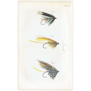 魚釣りアイテム フライフィッシング 毛針 デザイン イギリス アンティークプリント 1867年 1010
