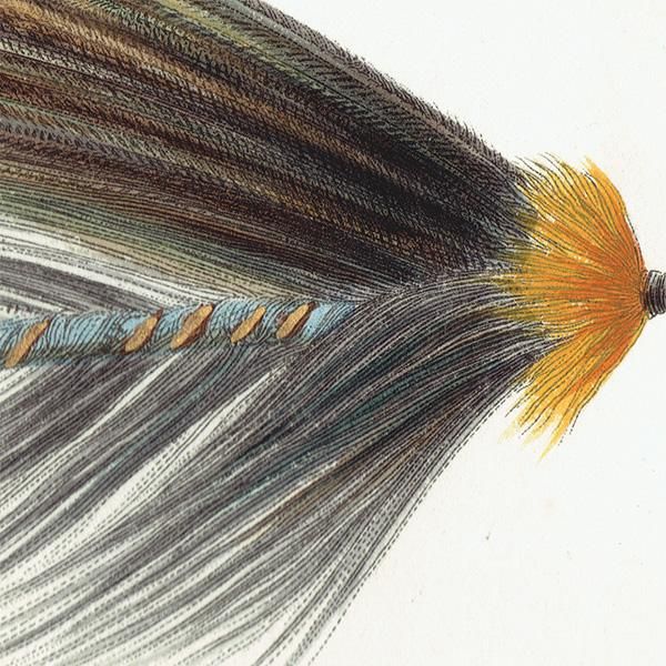 魚釣りアイテム フライフィッシング 毛針 デザイン イギリス 魚釣りアイテム フライフィッシング 毛針 デザイン イギリス