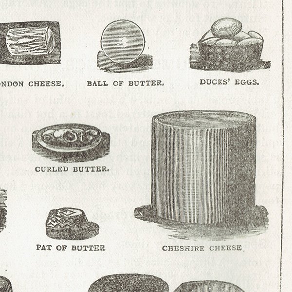 ߥӡȥβܤ ʼΥХVARIOUS KINDS OF BUTTER, CHEESE AND EGGS 1888ǯ ꥹƥץ  0114