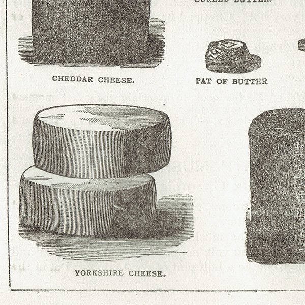 ߥӡȥβܤ ʼΥХVARIOUS KINDS OF BUTTER, CHEESE AND EGGS 1888ǯ ꥹƥץ  0114