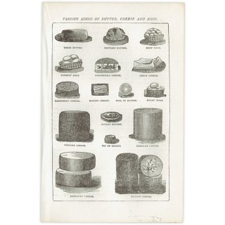 ミセスビートンの家政読本より いろんな種類のバター、チーズ、卵（VARIOUS KINDS OF BUTTER, CHEESE AND EGGS） 1905年 イギリスアンティークプリント  0114