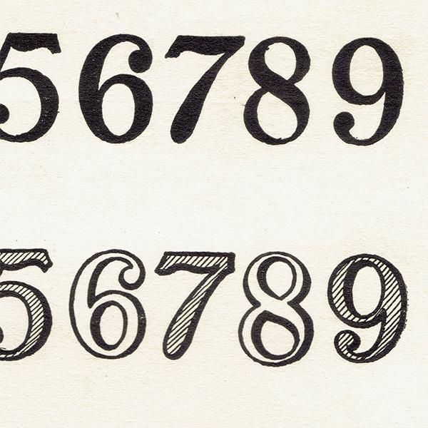 レタリング タイポグラフィ セリフ・サンセリフの数字 1936年