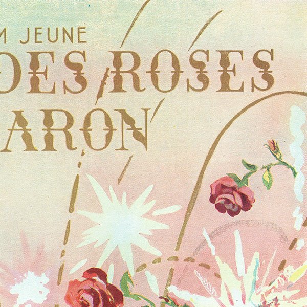 ե ơ / CARON   ROSE Х ʥơ1952ǯ 0399