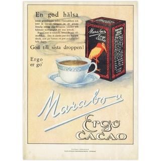 ǥ MarabouʥޥܥˤΥ Ergo Cacao ơ ̲ǥ /  1925ǯ 0402