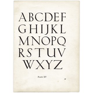レタリング タイポグラフィ アルファベット 大文字 1936年 イギリス ヴィンテージ プリント  1125