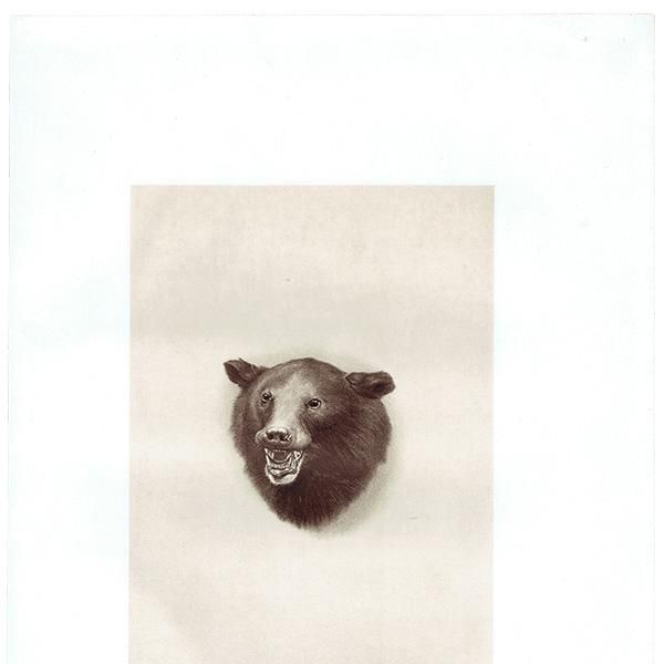  BLACK BEAR ϥƥ󥰥ȥե ꥹ ƥץ 1885ǯ 1005