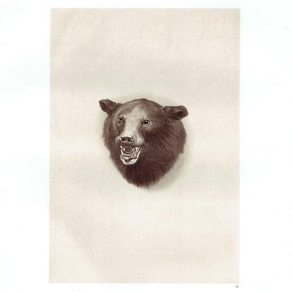  BLACK BEAR ϥƥ󥰥ȥե ꥹ ƥץ 1885ǯ 1005