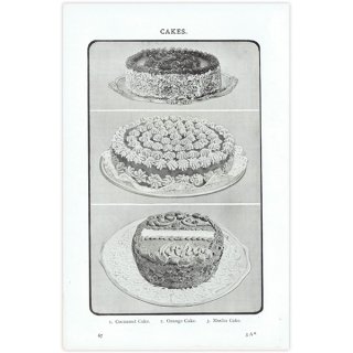 ߥӡȥβܤ  CAKES() 1906ǯ ꥹƥץ 0120