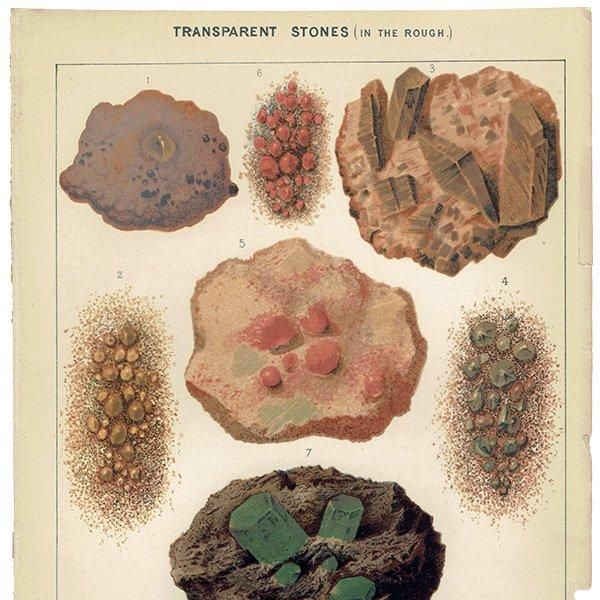 С / TRANSPARENT STONE ɤȥѡͥåȤʤ 1877ǯ ꥹ  | 1002