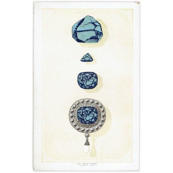 本店は BLUE The / 宝石・貴石 Diamond 1877年 ブルーダイアモンド その他