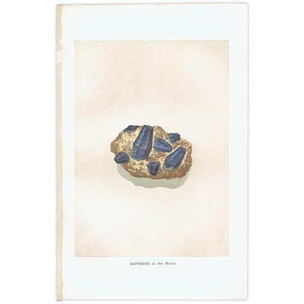 2024新商品 宝石・貴石 / 1898年 アンティークプリント SAPPHIRE サファイア その他