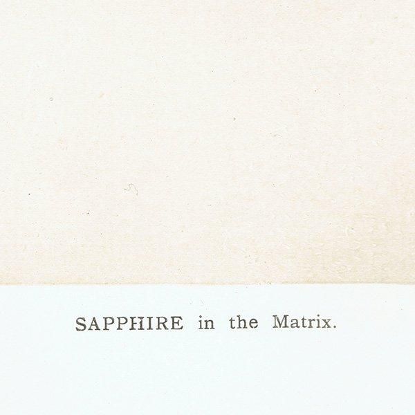 С / ե SAPPHIRE 9 ƥץ 1898ǯ ꥹ  | 1006