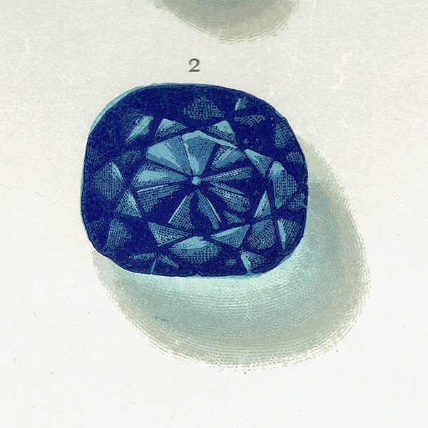 С / BLUE Diamond ֥롼 ƥץ 1898ǯ ꥹ | 1008