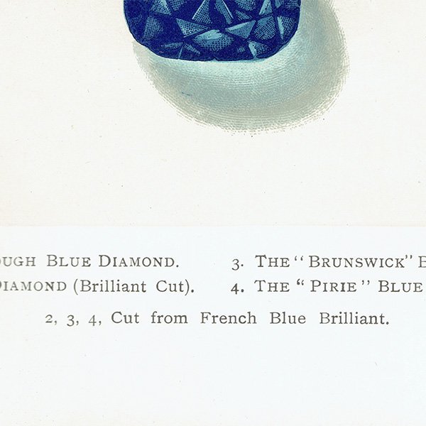С / BLUE Diamond ֥롼 ƥץ 1898ǯ ꥹ | 1008