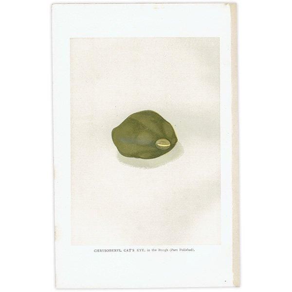 С / ꥽٥륭åĥ CHRYSOBERYL CAT'S EYE 2 ƥץ 1898ǯ ꥹ  | 1013