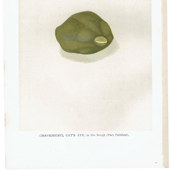 С / ꥽٥륭åĥ CHRYSOBERYL CAT'S EYE 2 ƥץ 1898ǯ ꥹ  | 1013