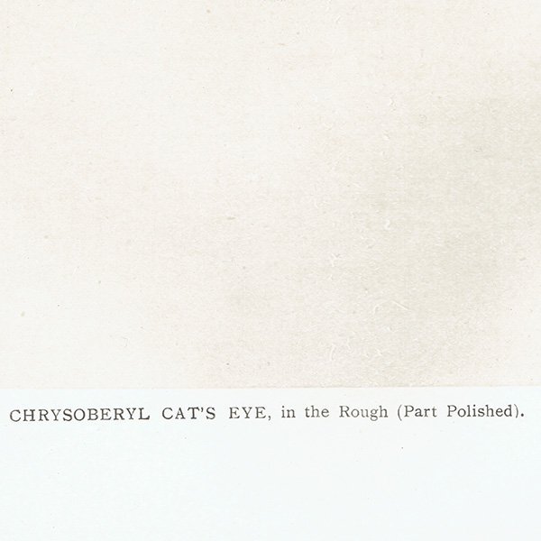 С / ꥽٥륭åĥ CHRYSOBERYL CAT'S EYE 2 ƥץ 1898ǯ ꥹ  | 1013