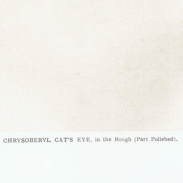 С / ꥽٥륭åĥ CHRYSOBERYL CAT'S EYE 2 ƥץ 1898ǯ ꥹ  | 1013