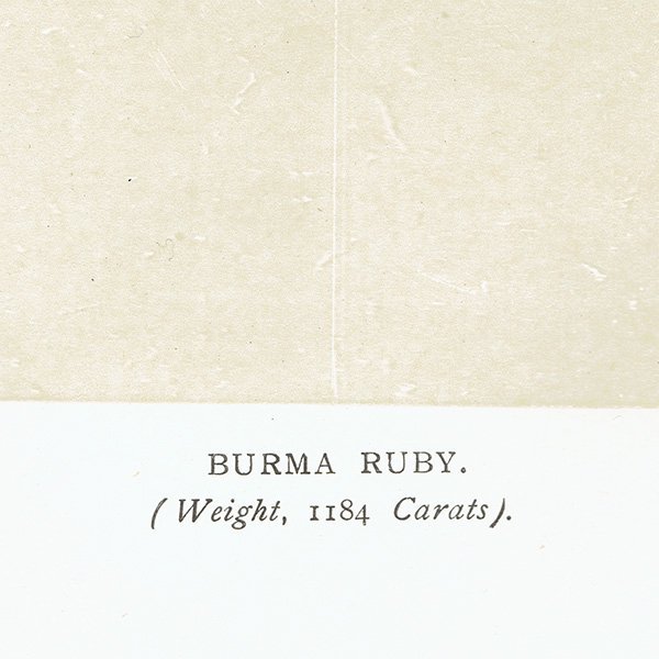 С / ӥޥӡ BURMA RUBY 7 ƥץ 1898ǯ ꥹ  | 1015