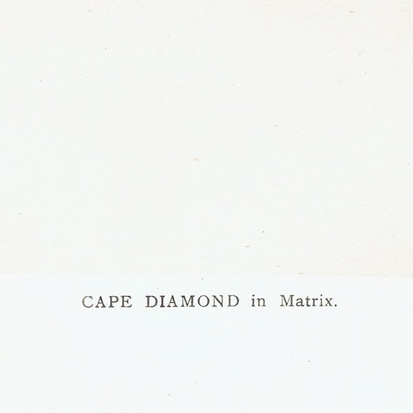 С / ץ CAPE DIAMOND in Matrix 4 ƥץ 1898ǯ ꥹ  | 1016