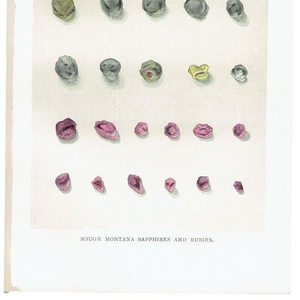 С / եȥӡθ ROUGH MONTANA SAPPHIRES AND RUBBIES ƥץ 1898ǯ ꥹ  | 1017