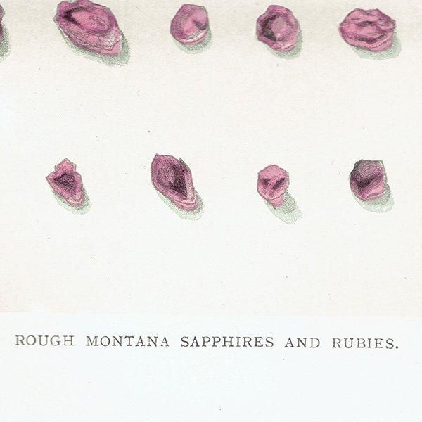 С / եȥӡθ ROUGH MONTANA SAPPHIRES AND RUBBIES ƥץ 1898ǯ ꥹ  | 1017