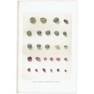 С / եȥӡθ ROUGH MONTANA SAPPHIRES AND RUBBIES ƥץ 1898ǯ ꥹ  | 1017<img class='new_mark_img2' src='https://img.shop-pro.jp/img/new/icons5.gif' style='border:none;display:inline;margin:0px;padding:0px;width:auto;' />