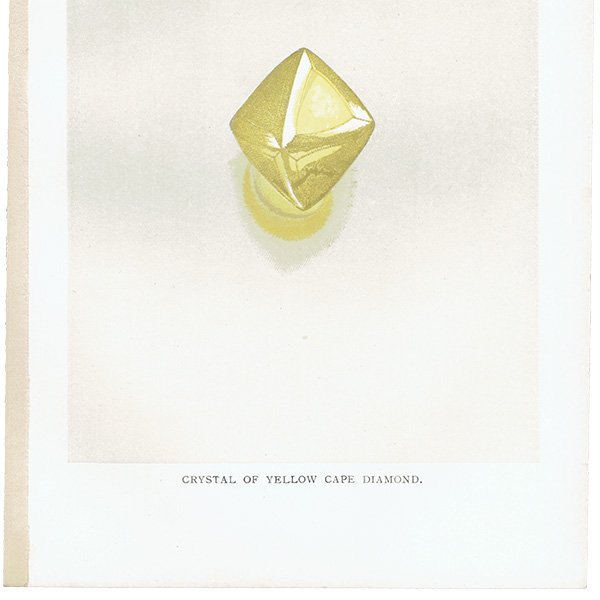 С / ץɤη뾽 CRYSTAL OF YELLOW CAPE DIAMOND ƥץ 1898ǯ ꥹ  | 1018
