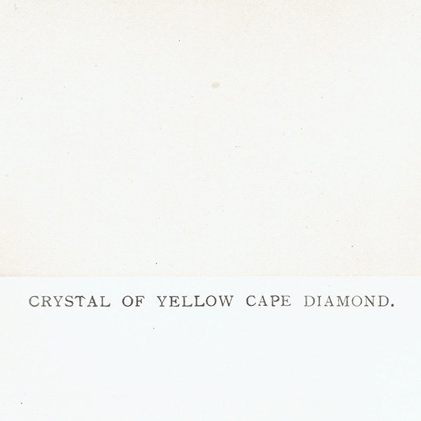 С / ץɤη뾽 CRYSTAL OF YELLOW CAPE DIAMOND ƥץ 1898ǯ ꥹ  | 1018