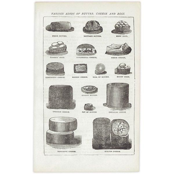 ߥӡȥβܤ ʼΥХVARIOUS KINDS OF BUTTER, CHEESE AND EGGS 1895ǯ ꥹƥץ 0201