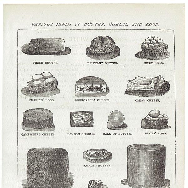 ߥӡȥβܤ ʼΥХVARIOUS KINDS OF BUTTER, CHEESE AND EGGS 1895ǯ ꥹƥץ 0201