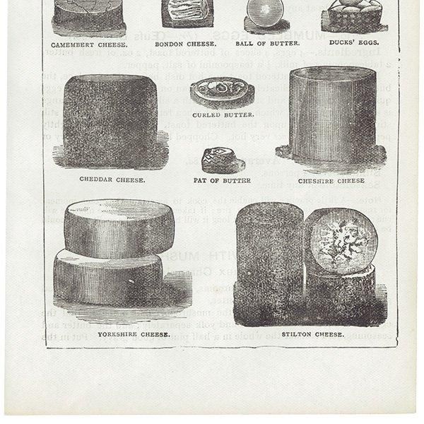 ߥӡȥβܤ ʼΥХVARIOUS KINDS OF BUTTER, CHEESE AND EGGS 1895ǯ ꥹƥץ 0201