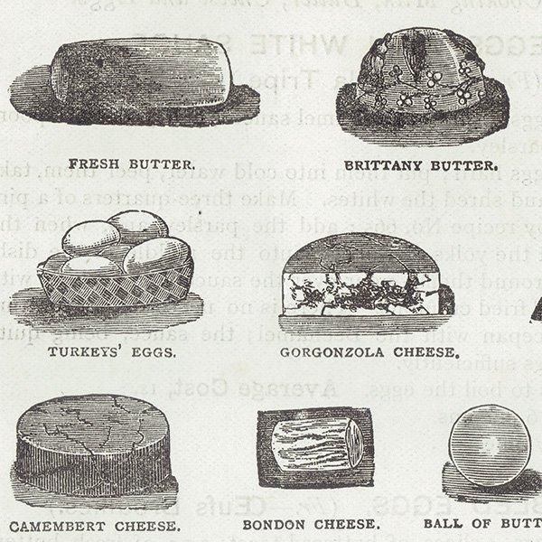 ߥӡȥβܤ ʼΥХVARIOUS KINDS OF BUTTER, CHEESE AND EGGS 1895ǯ ꥹƥץ 0201