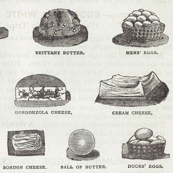 ߥӡȥβܤ ʼΥХVARIOUS KINDS OF BUTTER, CHEESE AND EGGS 1895ǯ ꥹƥץ 0201