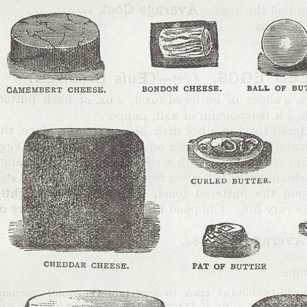 ߥӡȥβܤ ʼΥХVARIOUS KINDS OF BUTTER, CHEESE AND EGGS 1895ǯ ꥹƥץ 0201