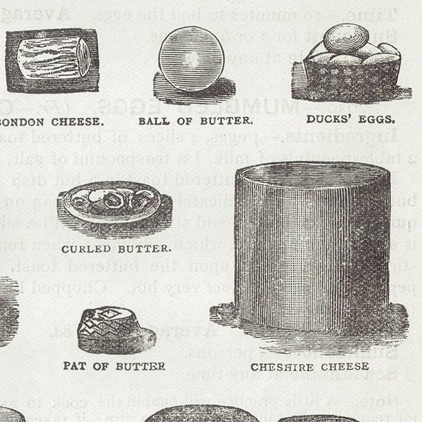 ߥӡȥβܤ ʼΥХVARIOUS KINDS OF BUTTER, CHEESE AND EGGS 1895ǯ ꥹƥץ 0201