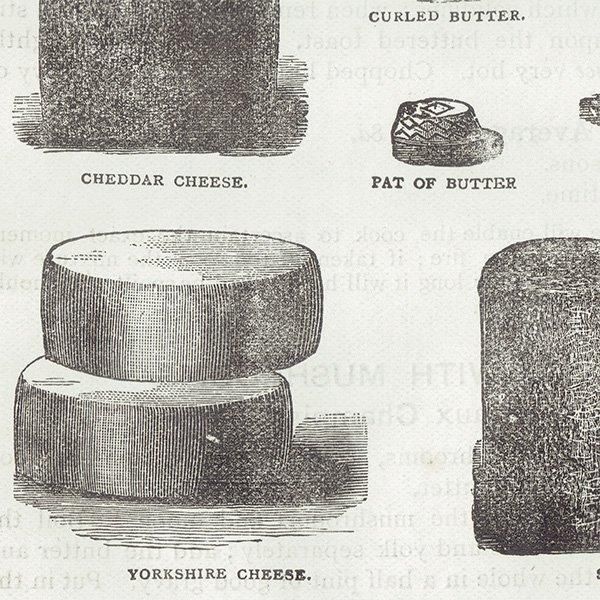ߥӡȥβܤ ʼΥХVARIOUS KINDS OF BUTTER, CHEESE AND EGGS 1895ǯ ꥹƥץ 0201