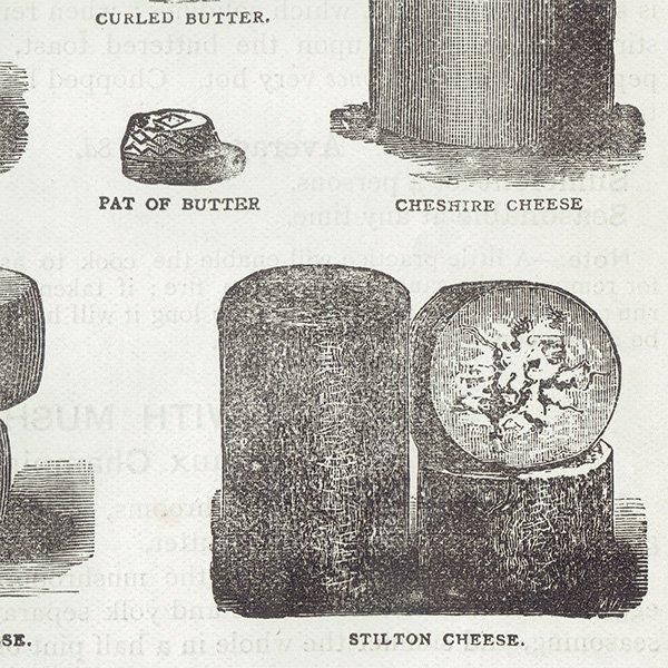 ߥӡȥβܤ ʼΥХVARIOUS KINDS OF BUTTER, CHEESE AND EGGS 1895ǯ ꥹƥץ 0201